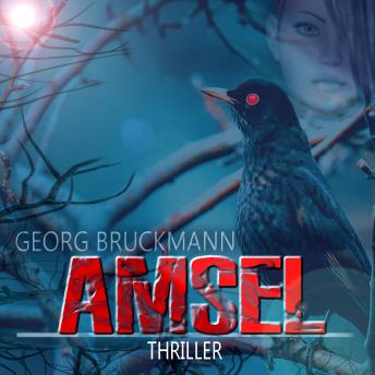 [German] - AMSEL