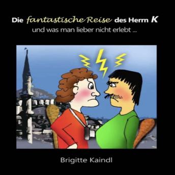[German] - Die fantastische Reise des Herrn K: und was man lieber nicht erlebt ...