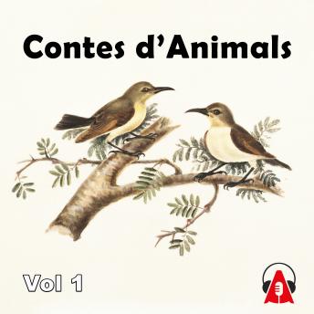 [Spanish] - Contes d’Animals Vol 1