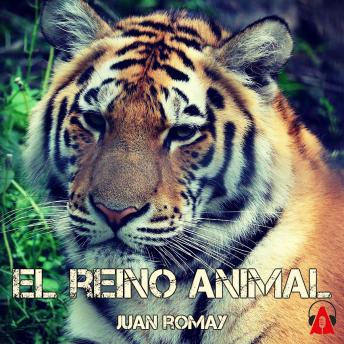 [Spanish] - El reino animal