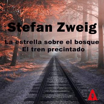 [Spanish] - La estrella sobre el bosque – El tren precintado