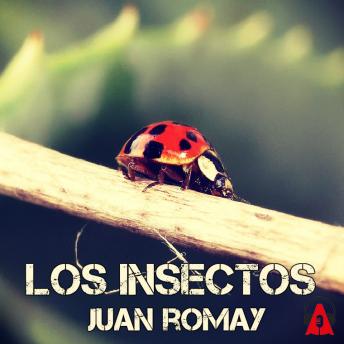 [Spanish] - Los insectos