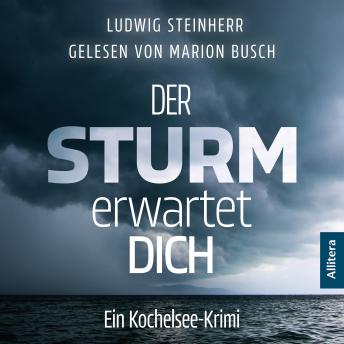 Download Der Sturm erwartet Dich: Ein Kochelsee-Krimi by Ludwig Steinherr