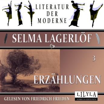 [German] - Erzählungen 3: Der Hochzeitsmarsch, In der Gemeindestube, Man soll nie denken.