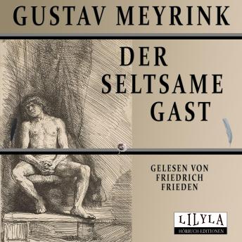 [German] - Der seltsame Gast