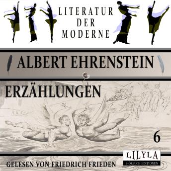 [German] - Erzählungen 6: Tod eines Seebären, Kongo, Ein krasser Fall von Soldatenmissbrauch, Passion, Der Selbstmord eines Katers.