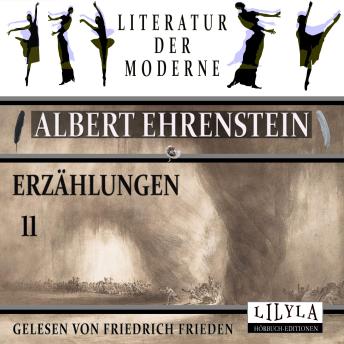 [German] - Erzählungen 11: Schreckliches Schicksal zweier Mistkäfer, Begegnung, Irandot von Serandip, Die Geschichte von den beiden Pantoffeln.
