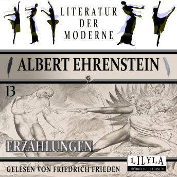 [German] - Erzählungen 13: Schulaufsätze, Missbrauch der Macht, Matura.