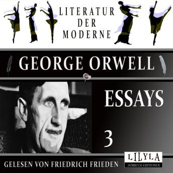 [German] - Essays 3: Down the Mine.