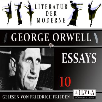 [German] - Essays 10: Charles Reade, Das Innere des Wals A.