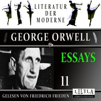 [German] - Essays 11: Das Innere des Wals B.