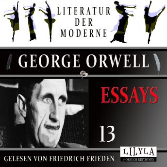 [German] - Essays 13: Die Kunst von Donald McGill.