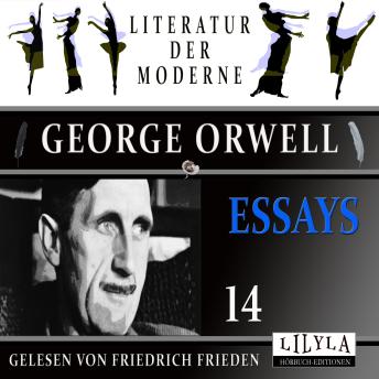 [German] - Essays 14: Der Löwe und das Einhorn A.