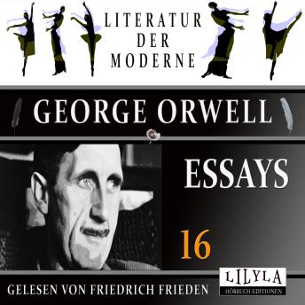 [German] - Essays 16: Der Löwe und das Einhorn C.