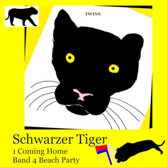 Twins's [German] - Schwarzer Tiger 1 Coming Home: Band 4 Beach Party episode artwork