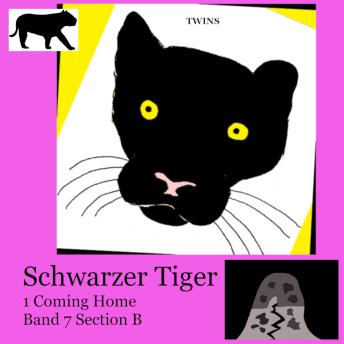 [German] - Schwarzer Tiger 1 Coming Home: Band 7 Section B