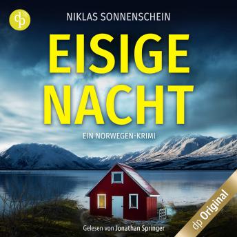 [German] - Eisige Nacht - Ein Norwegen-Krimi - Karl Sortland ermittelt-Reihe, Band 1 (Ungekürzt)