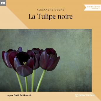 [French] - La Tulipe noire (Version intégrale)