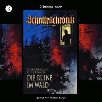 [German] - Die Ruine im Wald - Schattenchronik, Folge 3 (Ungekürzt)