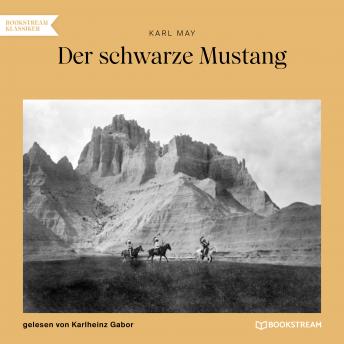 [German] - Der schwarze Mustang (Ungekürzt)