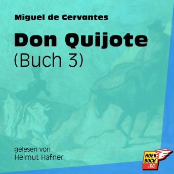 Don Quijote, Buch 3 (Ungekürzt)