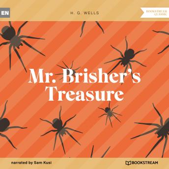 Mr. Brisher's Treasure (Unabridged)