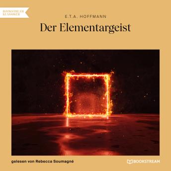 [German] - Der Elementargeist (Ungekürzt)