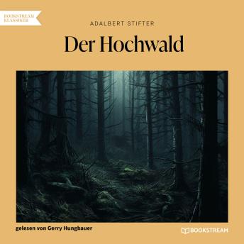 [German] - Der Hochwald (Ungekürzt)