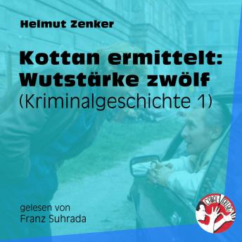 [German] - Kottan ermittelt: Wutstärke zwölf: Kriminalgeschichte 1