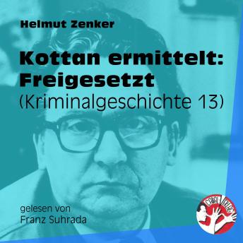 [German] - Kottan ermittelt: Freigesetzt: Kriminalgeschichte 13