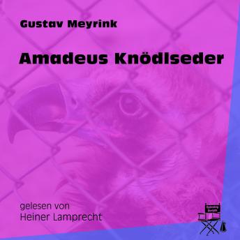 [German] - Amadeus Knödlseder