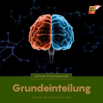 [German] - Grundeinteilung