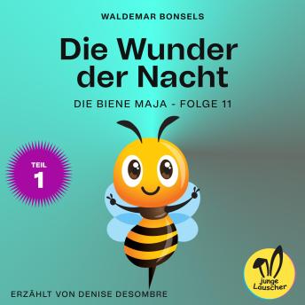 [German] - Die Wunder der Nacht - Teil 1 (Die Biene Maja, Folge 11)
