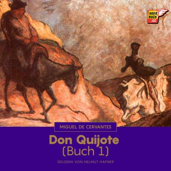 [German] - Don Quijote (Buch 1)