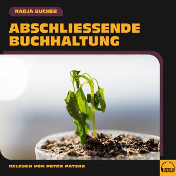 [German] - Abschließende Buchhaltung