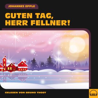 [German] - Guten Tag, Herr Fellner!