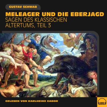 [German] - Meleager und die Eberjagd (Sagen des klassischen Altertums, Teil 3)
