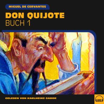 [German] - Don Quijote (Buch 1)