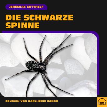 [German] - Die schwarze Spinne