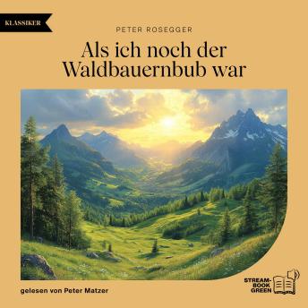 [German] - Als ich noch der Waldbauernbub war