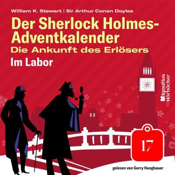 [German] - Im Labor (Der Sherlock Holmes-Adventkalender: Die Ankunft des Erlösers, Folge 17)