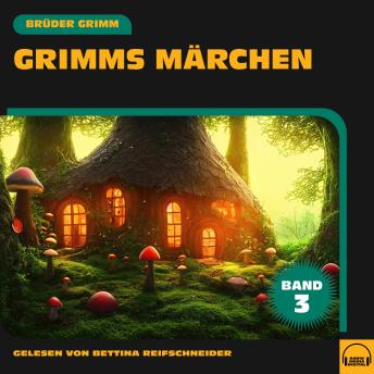[German] - Grimms Märchen (Band 3)