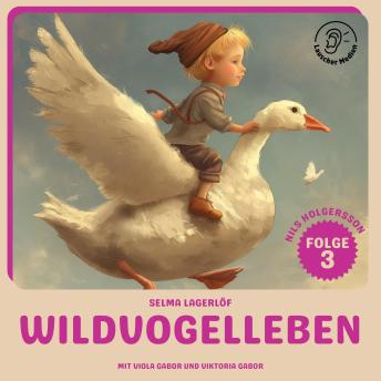 [German] - Wildvogelleben (Nils Holgersson, Folge 3)