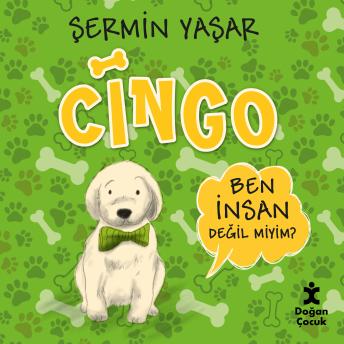 [Turkish] - Cingo