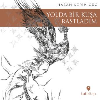 [Turkish] - Yolda Bir Kuşa Rastladım