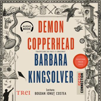 Demon Copperhead - Barbara Kingsolver