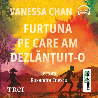 Furtuna pe care am dezlănțuit-o - Vanessa Chan
