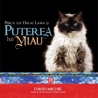 [Romanian] - Pisica lui Dalai Lama și puterea lui miau