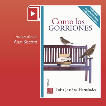 [Spanish] - Como los gorriones