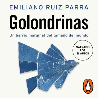Golondrinas: Un barrio marginal del tamaño del mundo
